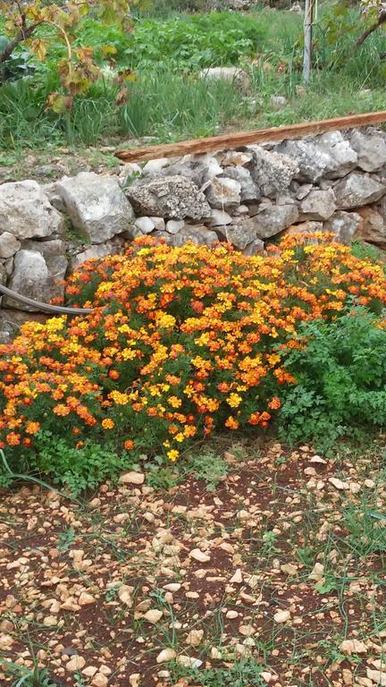 Country House Rusula Vrsine Εξωτερικό φωτογραφία