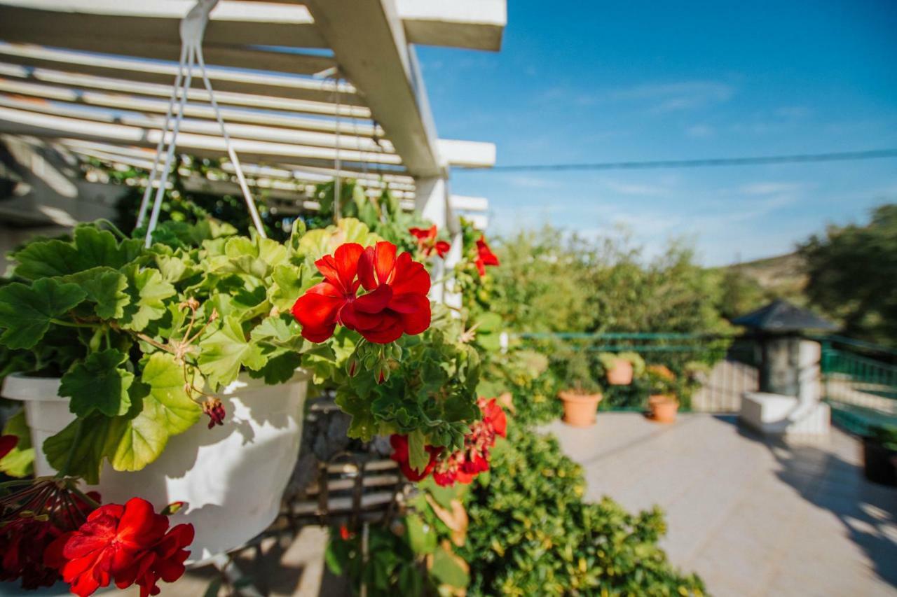 Country House Rusula Vrsine Εξωτερικό φωτογραφία